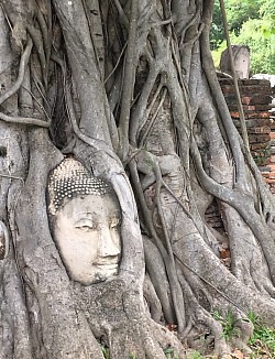 Ayutthaya round trip