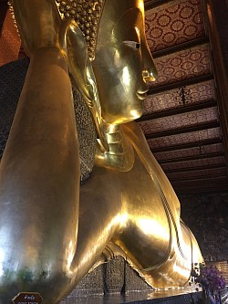 Wat Pho ( Reclining Buddha) //  Bangkok day tour